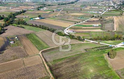 CB AKADEMİ ÇAVUŞLU SATILIK ÇİFT CEPHE YOLA SAHİP 1374 m2 TARLA