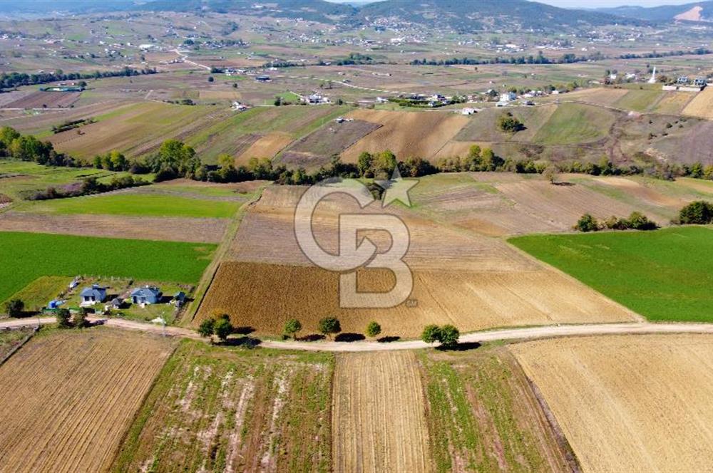 CB AKADEMİ DERİNCE ÇAVUŞLU SATILIK YOL CEPHE 11.806 m2 TARLA
