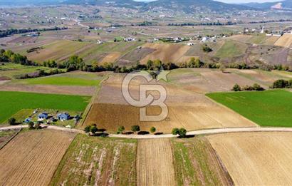 CB AKADEMİ DERİNCE ÇAVUŞLU SATILIK YOL CEPHE 11.806 m2 TARLA
