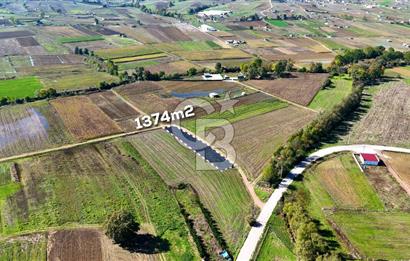 CB AKADEMİ ÇAVUŞLU SATILIK ÇİFT CEPHE YOLA SAHİP 1374 m2 TARLA