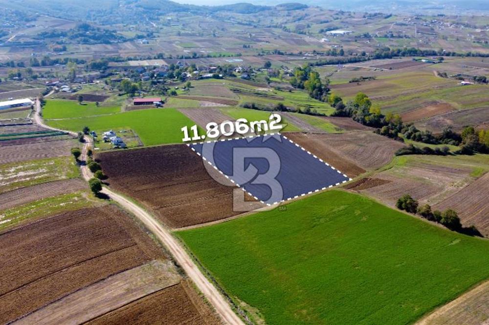 CB AKADEMİ DERİNCE ÇAVUŞLU SATILIK YOL CEPHE 11.806 m2 TARLA