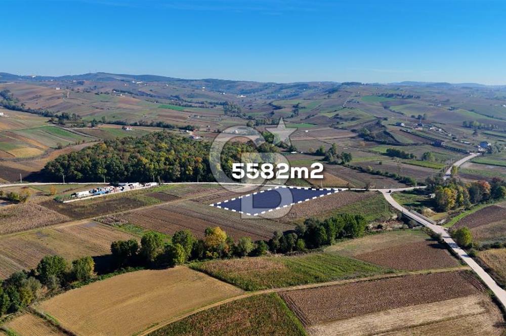 CB AKADEMİ ÇAVUŞLU SATILIK ASFALT YOLA CEPHE 5582 m2 TARLA