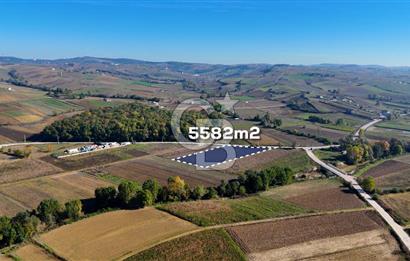 CB AKADEMİ ÇAVUŞLU SATILIK ASFALT YOLA CEPHE 5582 m2 TARLA