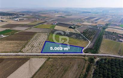 FOÇA GERENKÖY'DE 5.062 m² MÜSTAKİL TAPULU, 150 M YOL CEPHELİ