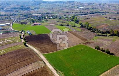 CB AKADEMİ DERİNCE ÇAVUŞLU SATILIK YOL CEPHE 11.806 m2 TARLA