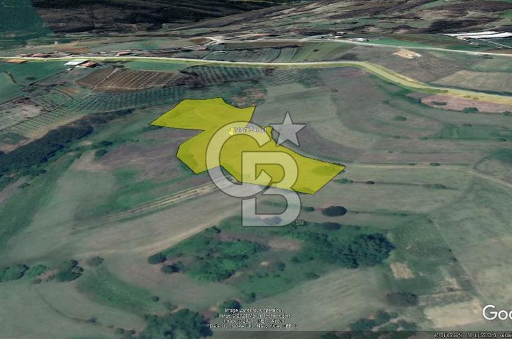 TEK TAPU TARLA -AMBARCI'DA YOLA YAKIN 11 DÖNÜM SATILIK TARLA