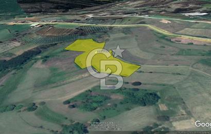 TEK TAPU TARLA -AMBARCI'DA YOLA YAKIN 11 DÖNÜM SATILIK TARLA