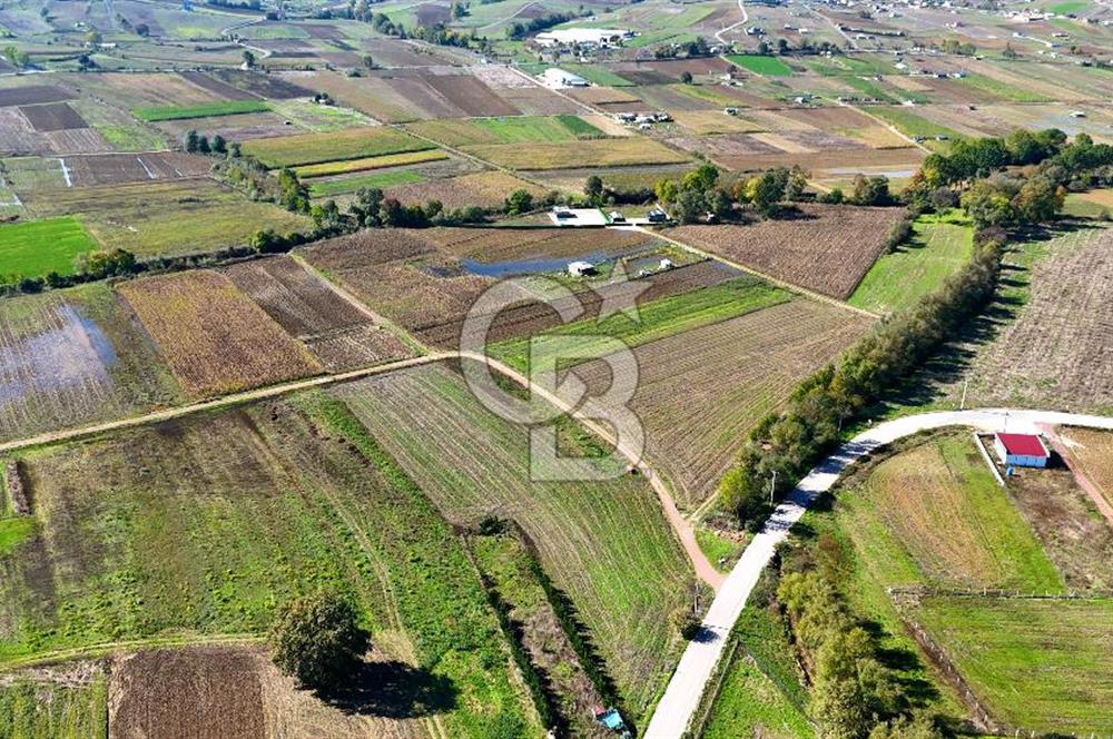 CB AKADEMİ ÇAVUŞLU SATILIK ÇİFT CEPHE YOLA SAHİP 1374 m2 TARLA