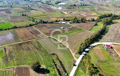CB AKADEMİ ÇAVUŞLU SATILIK ÇİFT CEPHE YOLA SAHİP 1374 m2 TARLA