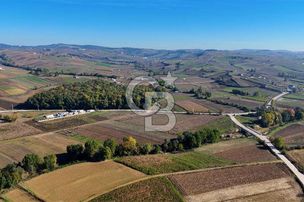 CB AKADEMİ ÇAVUŞLU SATILIK ASFALT YOLA CEPHE 5582 m2 TARLA