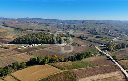 CB AKADEMİ ÇAVUŞLU SATILIK ASFALT YOLA CEPHE 5582 m2 TARLA