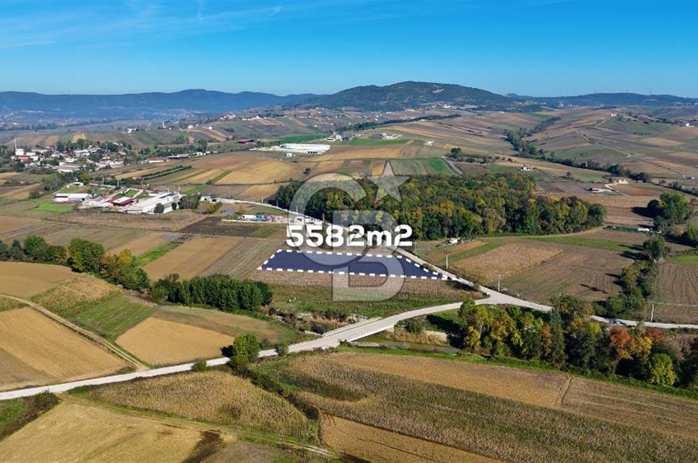 CB AKADEMİ ÇAVUŞLU SATILIK ASFALT YOLA CEPHE 5582 m2 TARLA