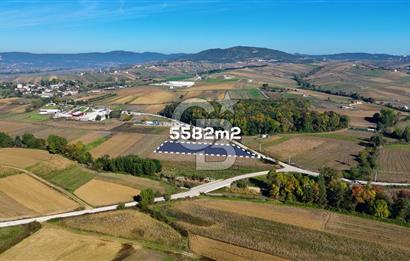 CB AKADEMİ ÇAVUŞLU SATILIK ASFALT YOLA CEPHE 5582 m2 TARLA