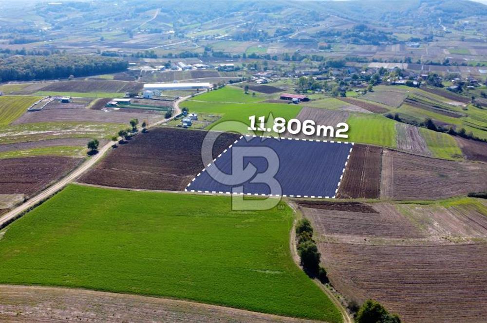 CB AKADEMİ DERİNCE ÇAVUŞLU SATILIK YOL CEPHE 11.806 m2 TARLA
