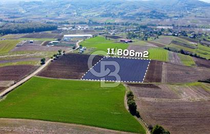 CB AKADEMİ DERİNCE ÇAVUŞLU SATILIK YOL CEPHE 11.806 m2 TARLA