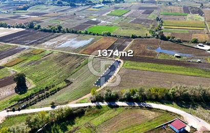 CB AKADEMİ ÇAVUŞLU SATILIK ÇİFT CEPHE YOLA SAHİP 1374 m2 TARLA