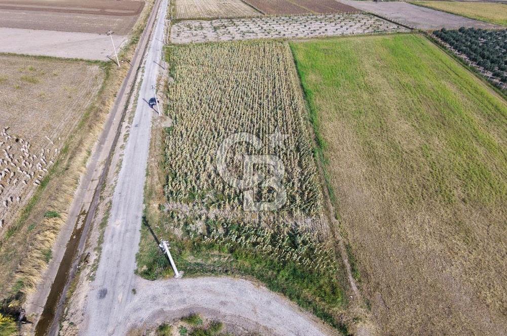 FOÇA GERENKÖY'DE 5.062 m² MÜSTAKİL TAPULU, 150 M YOL CEPHELİ