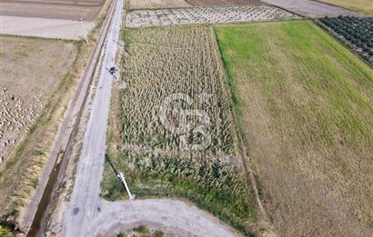FOÇA GERENKÖY'DE 5.062 m² MÜSTAKİL TAPULU, 150 M YOL CEPHELİ