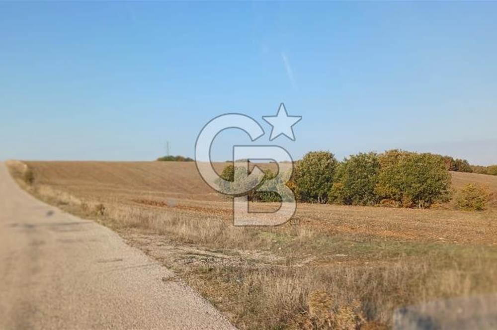 Çorum Merkez Seydim Yunusemre – Ortaburun Mevkii’nde 43.405,92 m² Satılık Tarla