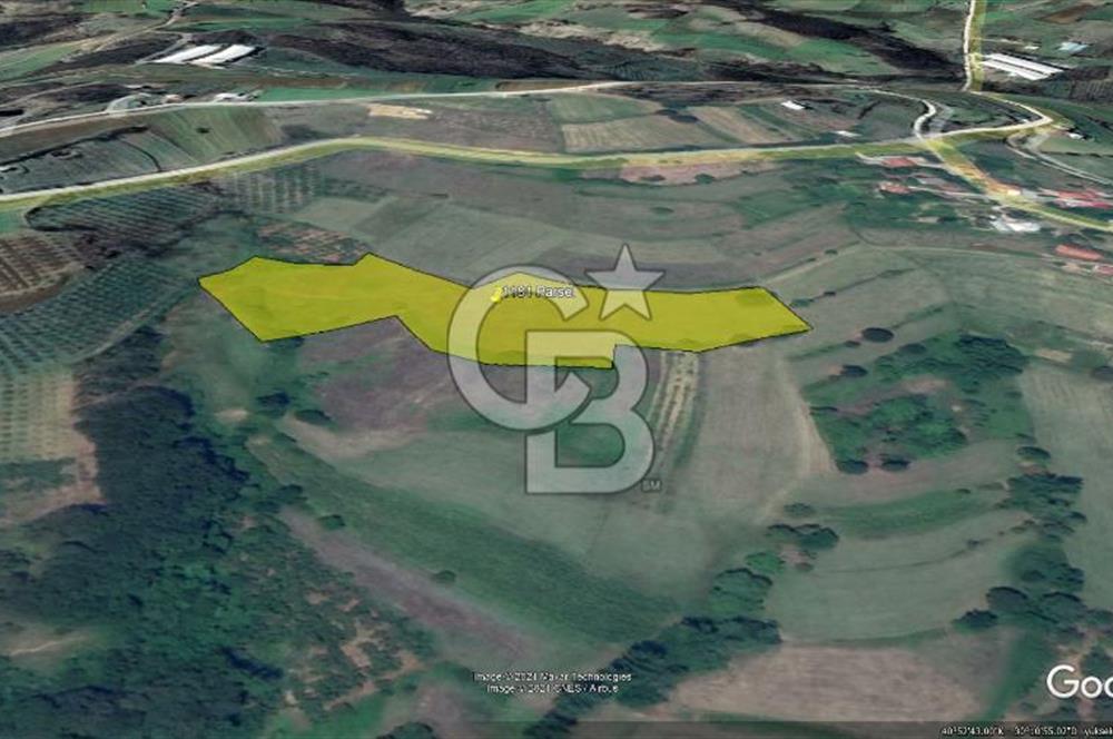 TEK TAPU TARLA -AMBARCI'DA YOLA YAKIN 11 DÖNÜM SATILIK TARLA