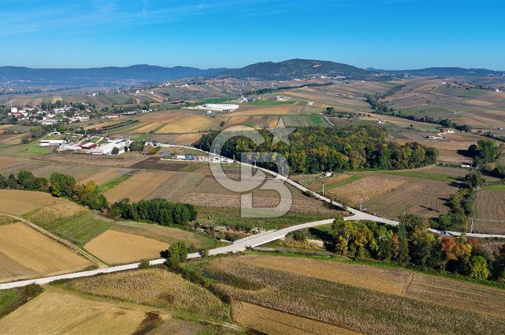 CB AKADEMİ ÇAVUŞLU SATILIK ASFALT YOLA CEPHE 5582 m2 TARLA