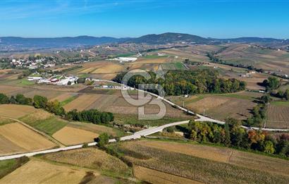 CB AKADEMİ ÇAVUŞLU SATILIK ASFALT YOLA CEPHE 5582 m2 TARLA
