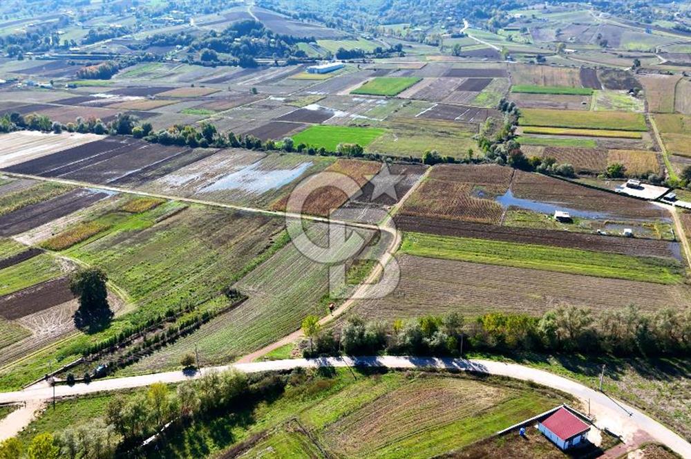 CB AKADEMİ ÇAVUŞLU SATILIK ÇİFT CEPHE YOLA SAHİP 1374 m2 TARLA