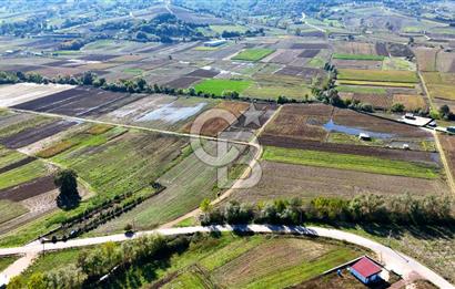 CB AKADEMİ ÇAVUŞLU SATILIK ÇİFT CEPHE YOLA SAHİP 1374 m2 TARLA