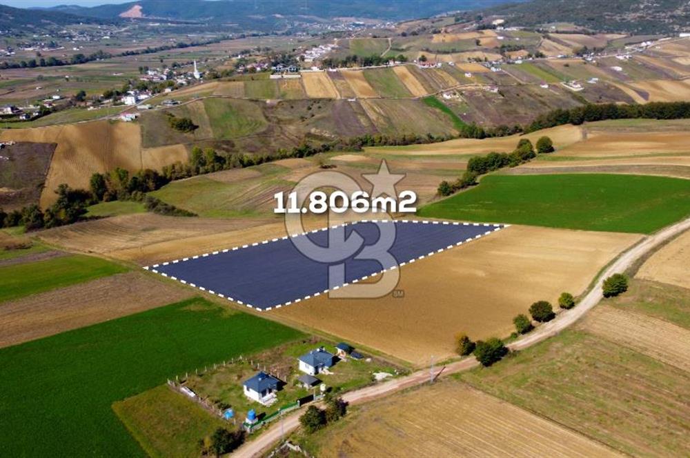 CB AKADEMİ DERİNCE ÇAVUŞLU SATILIK YOL CEPHE 11.806 m2 TARLA