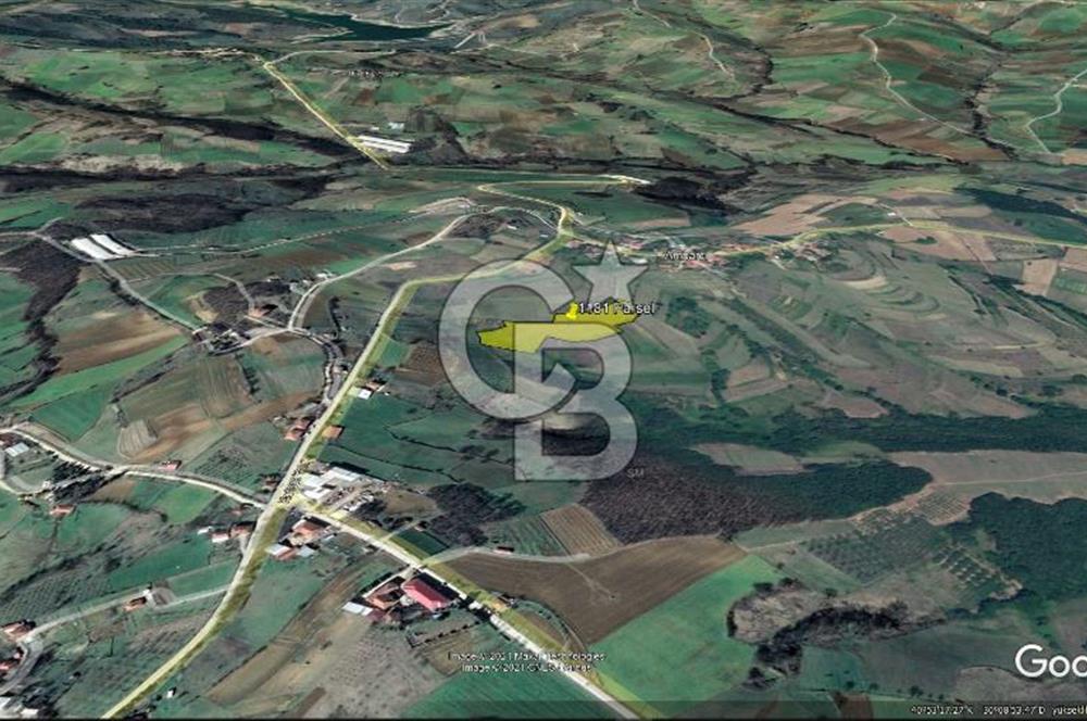 TEK TAPU TARLA -AMBARCI'DA YOLA YAKIN 11 DÖNÜM SATILIK TARLA