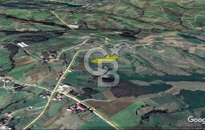 TEK TAPU TARLA -AMBARCI'DA YOLA YAKIN 11 DÖNÜM SATILIK TARLA