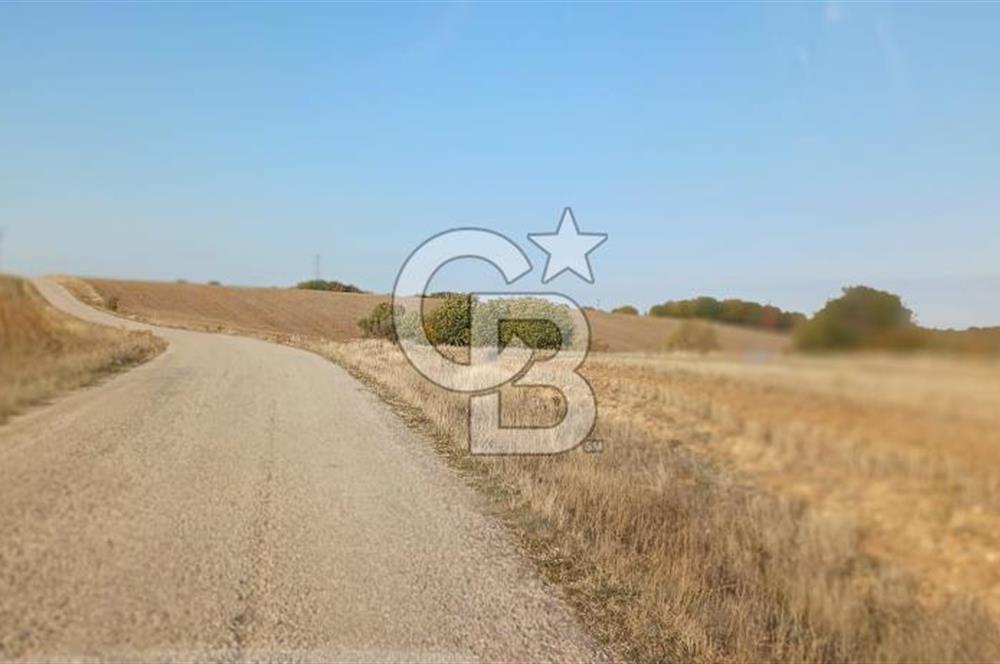 Çorum Merkez Seydim Yunusemre – Ortaburun Mevkii’nde 43.405,92 m² Satılık Tarla