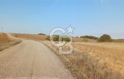 Çorum Merkez Seydim Yunusemre – Ortaburun Mevkii’nde 43.405,92 m² Satılık Tarla