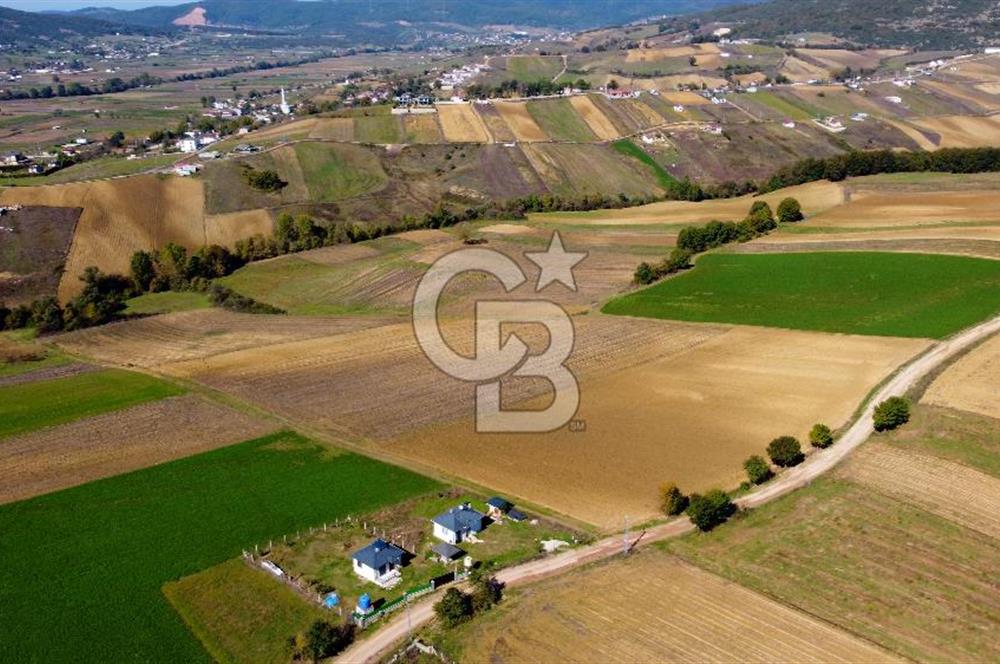 CB AKADEMİ DERİNCE ÇAVUŞLU SATILIK YOL CEPHE 11.806 m2 TARLA