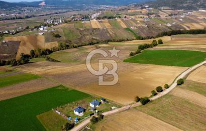 CB AKADEMİ DERİNCE ÇAVUŞLU SATILIK YOL CEPHE 11.806 m2 TARLA