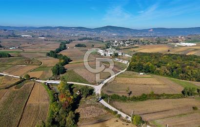 CB AKADEMİ ÇAVUŞLU SATILIK ASFALT YOLA CEPHE 5582 m2 TARLA