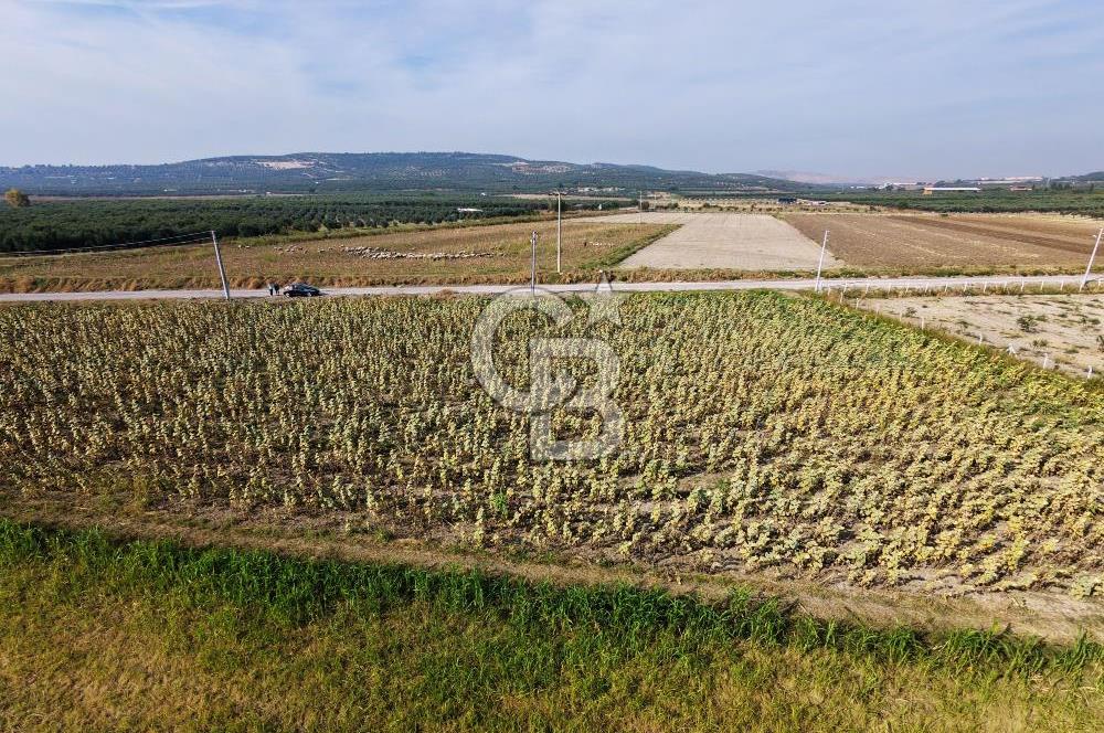 FOÇA GERENKÖY'DE 5.062 m² MÜSTAKİL TAPULU, 150 M YOL CEPHELİ