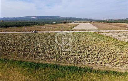 FOÇA GERENKÖY'DE 5.062 m² MÜSTAKİL TAPULU, 150 M YOL CEPHELİ