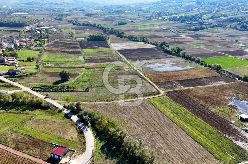 CB AKADEMİ ÇAVUŞLU SATILIK ÇİFT CEPHE YOLA SAHİP 1374 m2 TARLA
