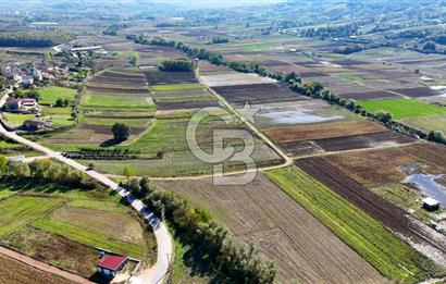 CB AKADEMİ ÇAVUŞLU SATILIK ÇİFT CEPHE YOLA SAHİP 1374 m2 TARLA