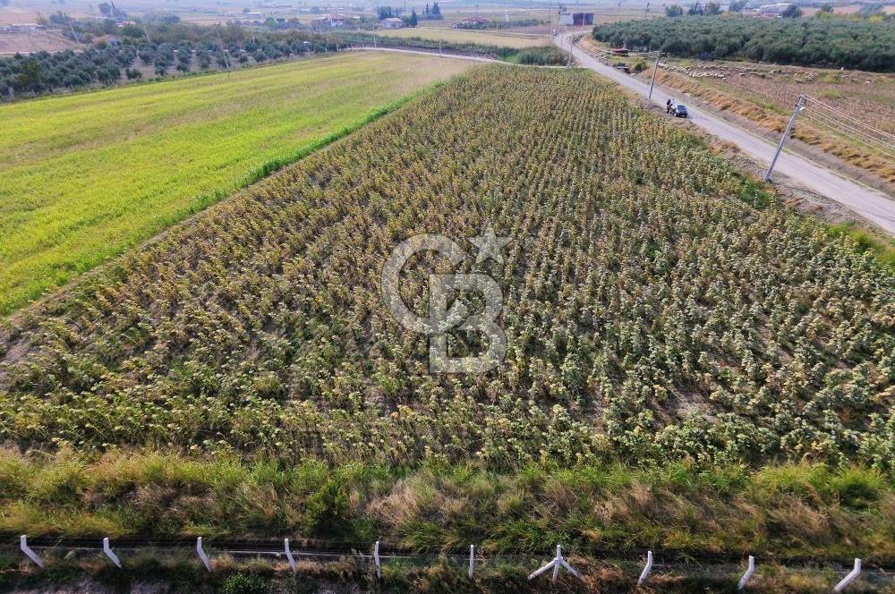 FOÇA GERENKÖY'DE 5.062 m² MÜSTAKİL TAPULU, 150 M YOL CEPHELİ
