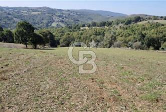 Balıkesir Karesi Taşkesiği Mahallesinde Satılık 4929 m² Tarla - 1 - 378686