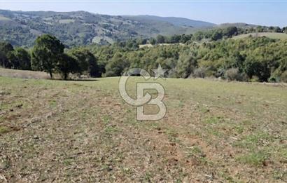 Balıkesir Karesi Taşkesiği Mahallesinde Satılık 4929 m² Tarla
