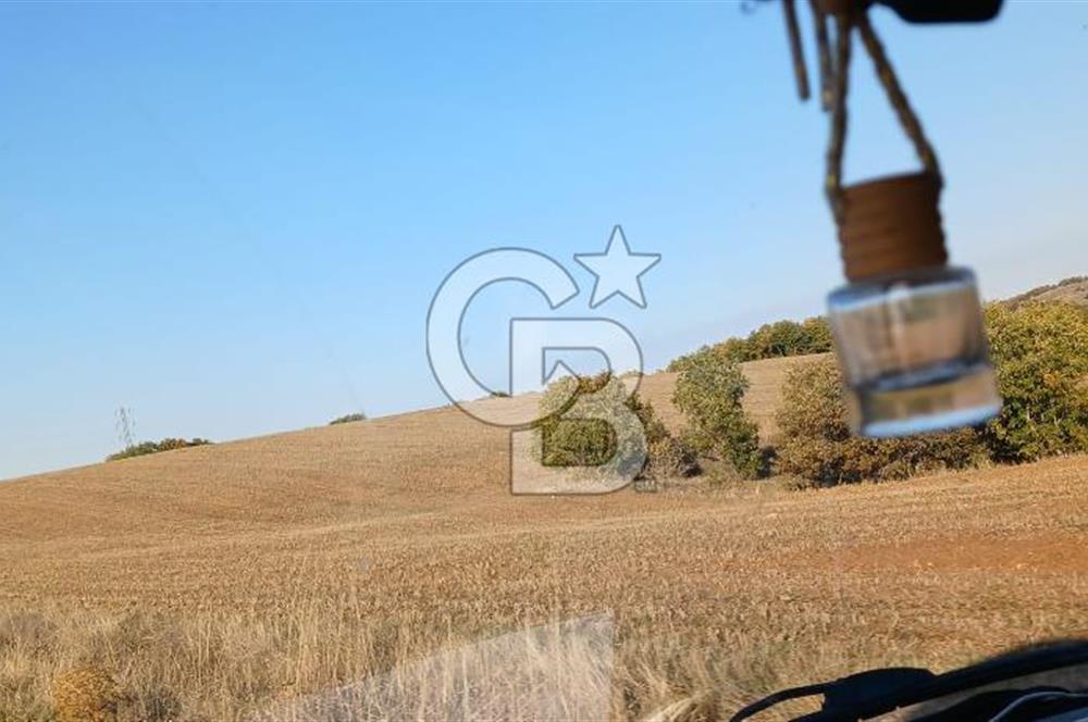 Çorum Merkez Seydim Yunusemre – Ortaburun Mevkii’nde 43.405,92 m² Satılık Tarla