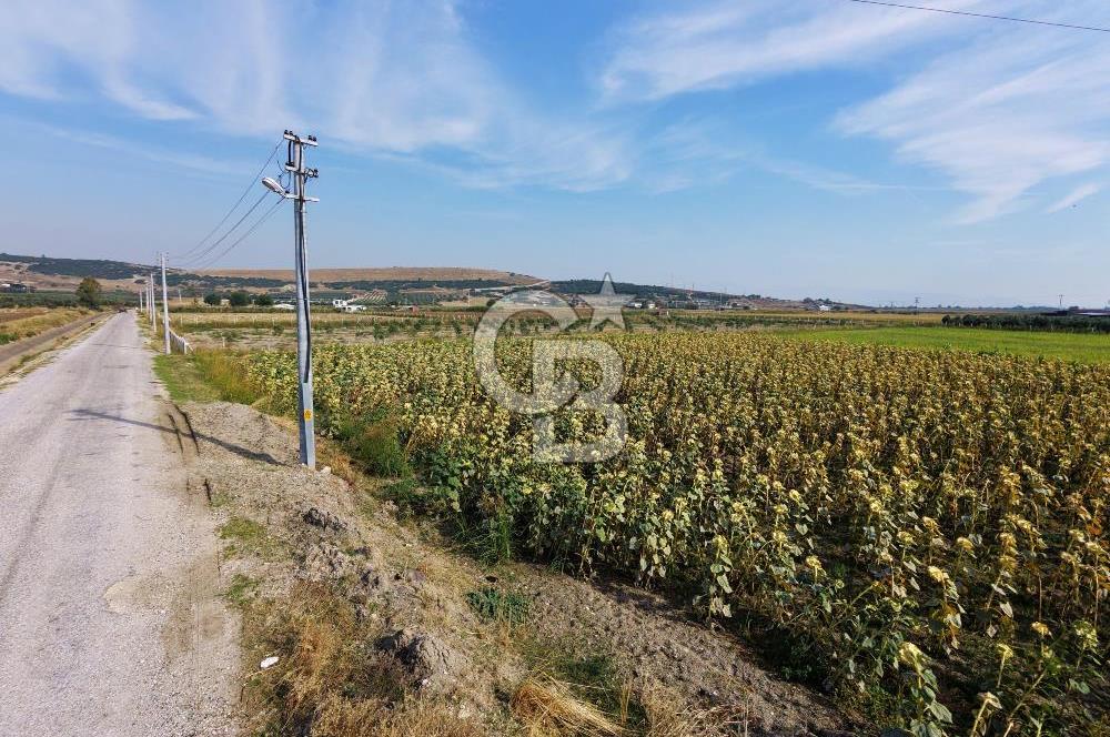 FOÇA GERENKÖY'DE 5.062 m² MÜSTAKİL TAPULU, 150 M YOL CEPHELİ