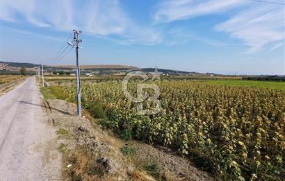 FOÇA GERENKÖY'DE 5.062 m² MÜSTAKİL TAPULU, 150 M YOL CEPHELİ