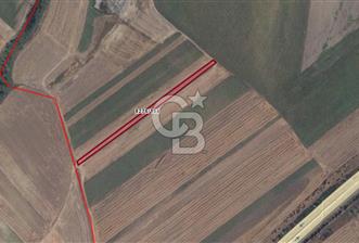 İstanbul Silivri Alipaşa Gişelere Çok Yakın Satılık 2926M2 Tarla - 5 - 378714