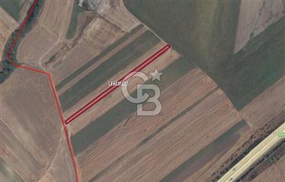 İstanbul Silivri Alipaşa Gişelere Çok Yakın Satılık 2926M2 Tarla