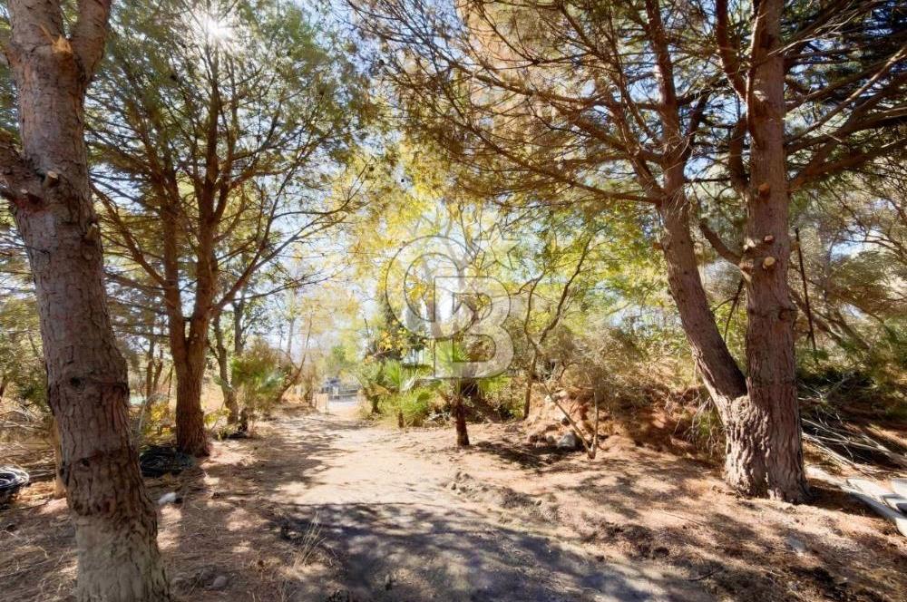 YELKİ CADDESİ YAKINI KİRALIK 4+1 VİLLA VE 6800 M2 ARAZİ