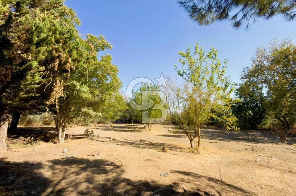YELKİ CADDESİ YAKINI KİRALIK 4+1 VİLLA VE 6800 M2 ARAZİ